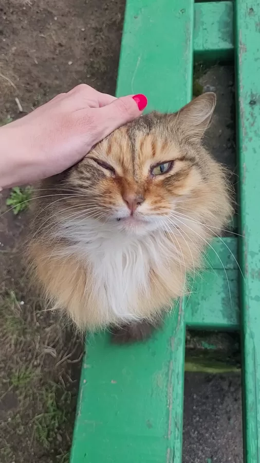 Цветочек